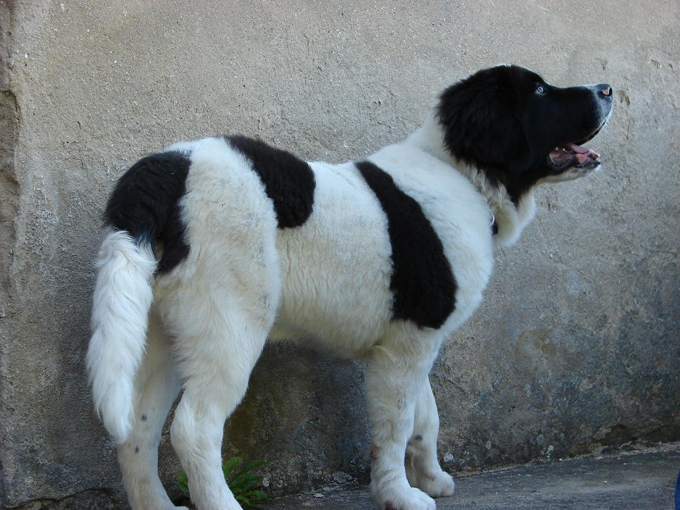 17.9.2007 Skalice 042.JPG