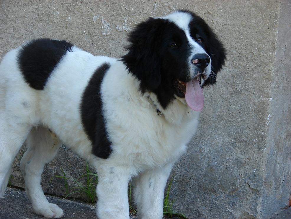 17.9.2007 Skalice 078.JPG