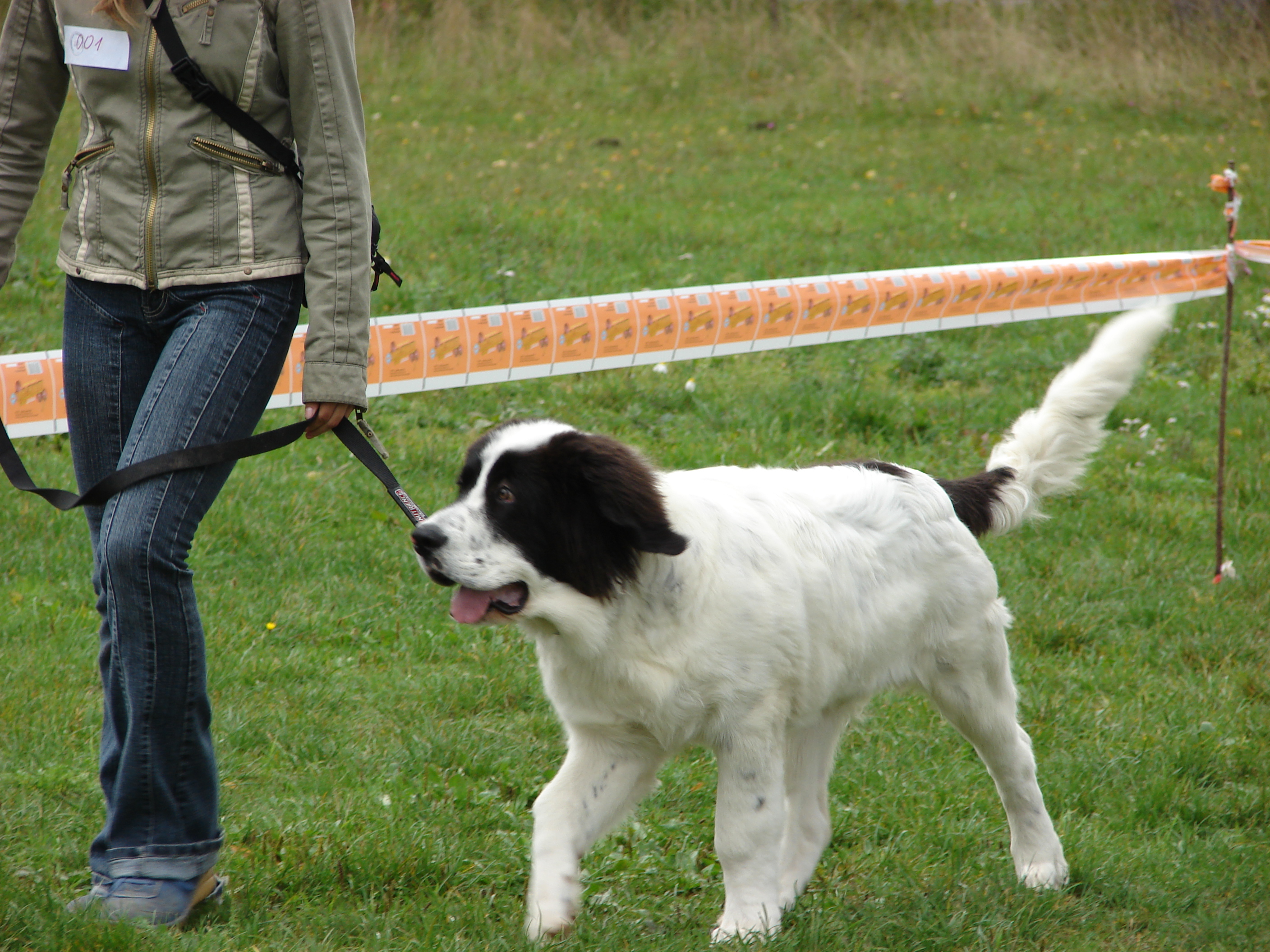 29.9.2007- klubovka Strakonice 012.jpg