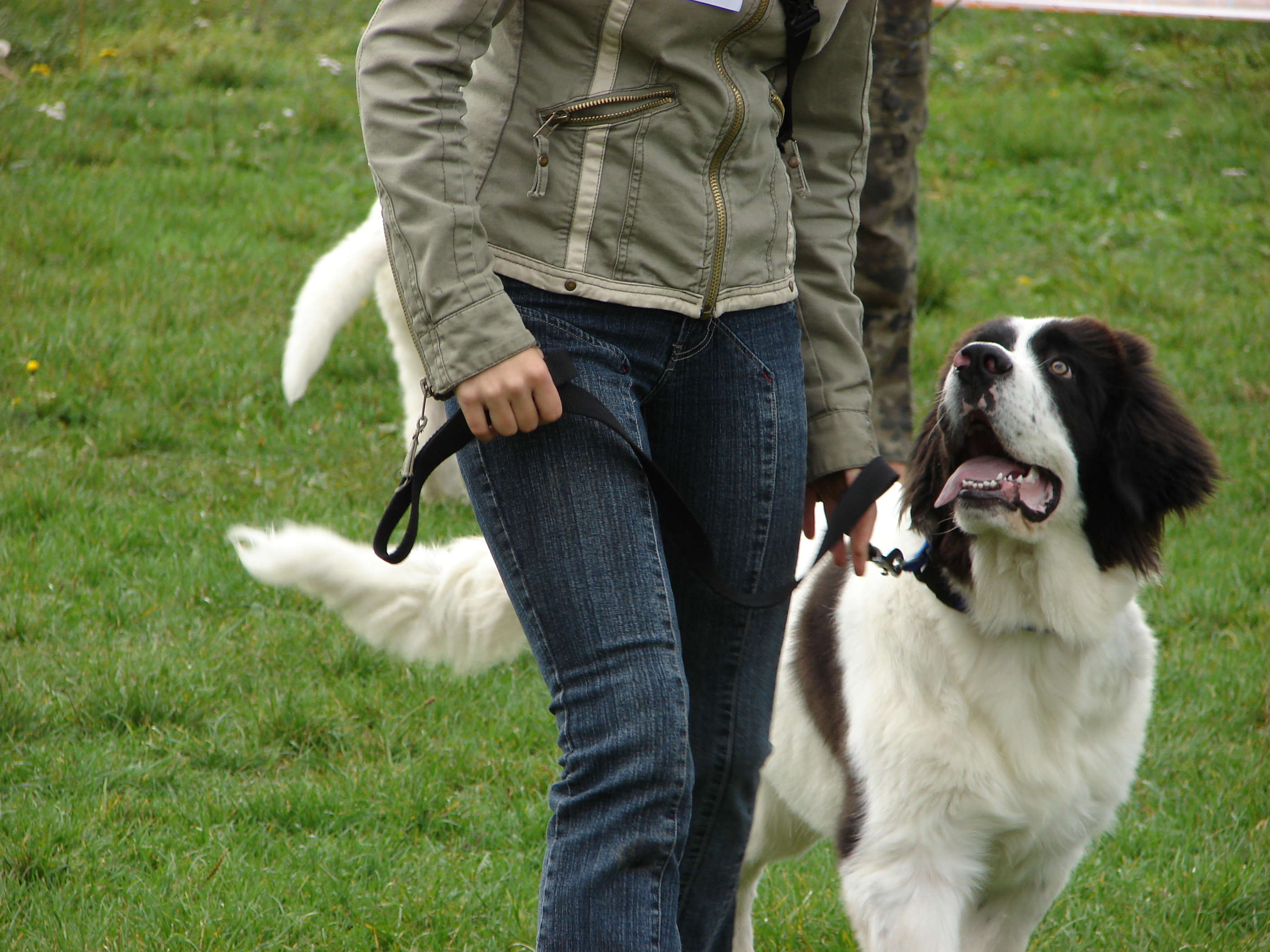 29.9.2007- klubovka Strakonice 014.jpg