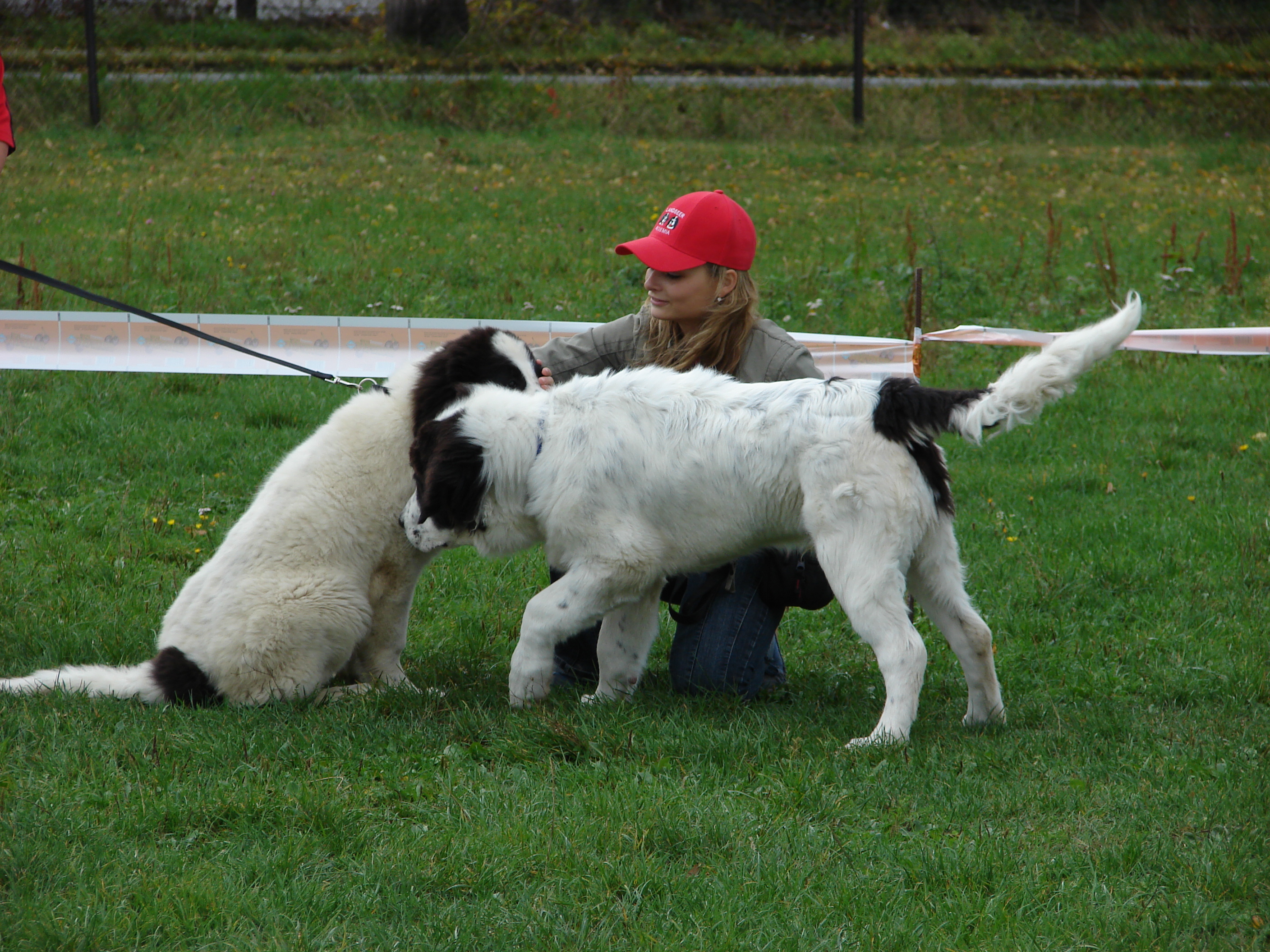 29.9.2007- klubovka Strakonice 036.jpg