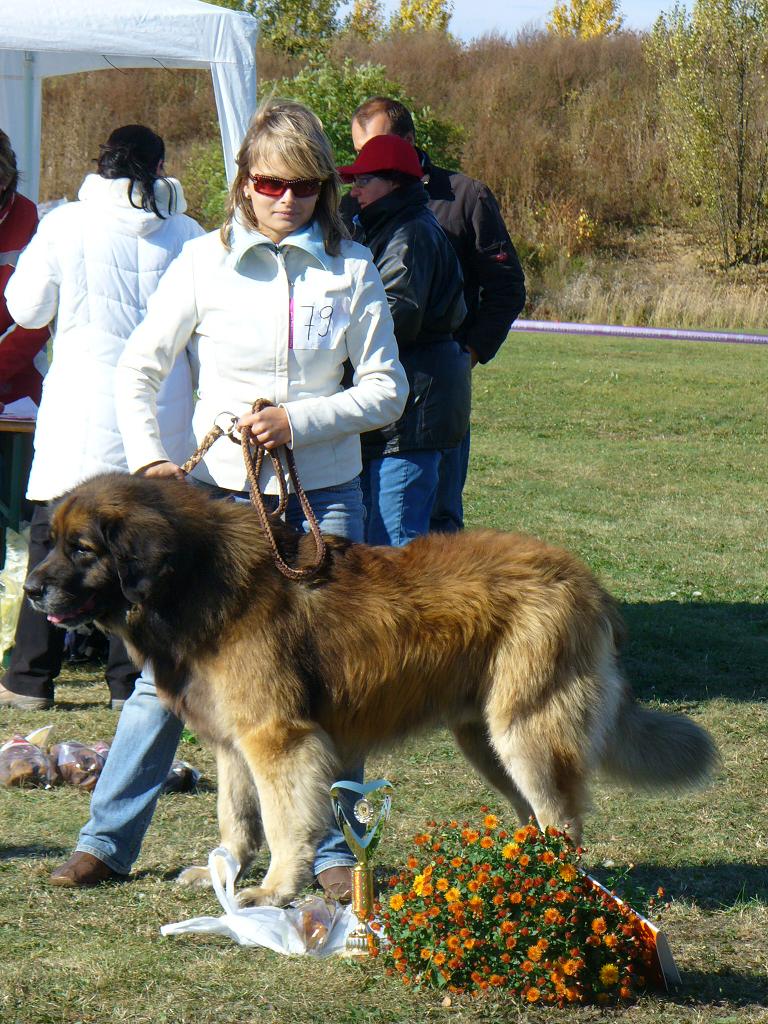 září-výstavy 2008  (31).jpg