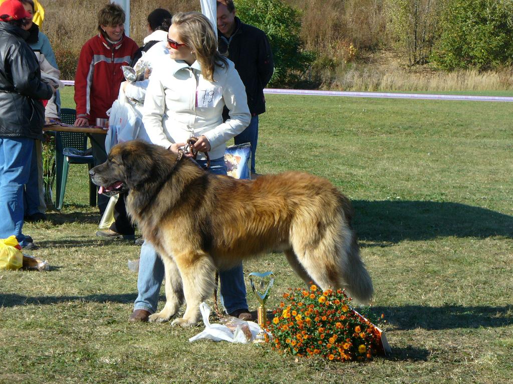 září-výstavy 2008  (33).jpg