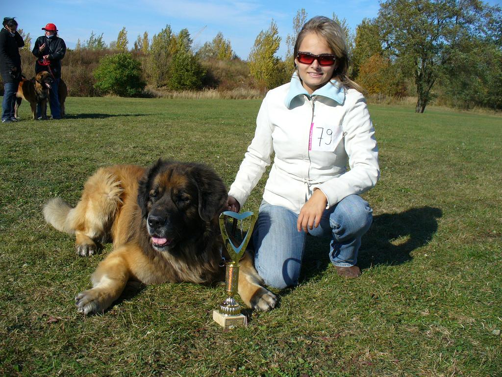 září-výstavy 2008  (36).jpg