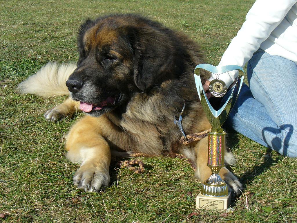 září-výstavy 2008  (39).jpg